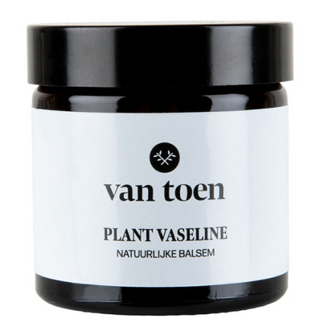 Plant Vaseline